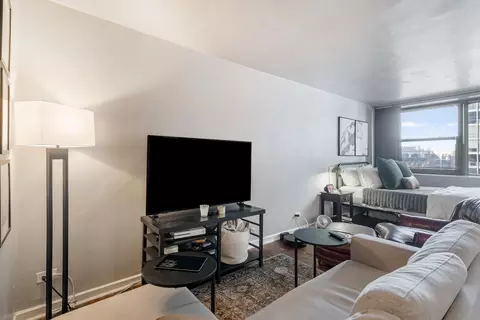 Living - 253 E Delaware Pl #13D, Chicago, IL 60611 photo 2 of 4
