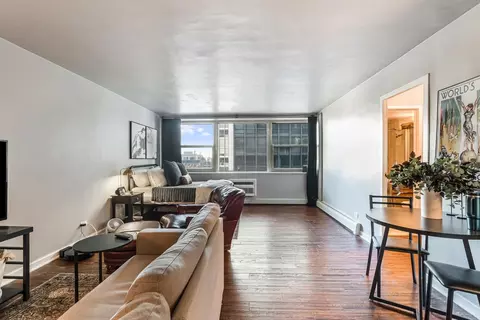 Living - 253 E Delaware Pl #13D, Chicago, IL 60611 photo 1 of 4