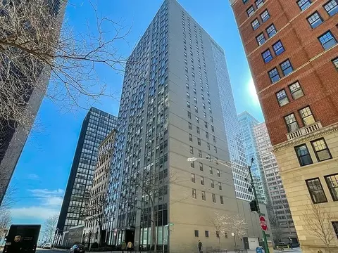 253 E Delaware Pl #13D, Chicago, IL 60611