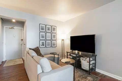 Living - 253 E Delaware Pl #13D, Chicago, IL 60611 photo 3 of 4