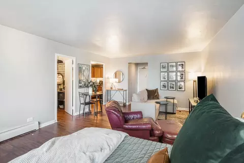 Living - 253 E Delaware Pl #13D, Chicago, IL 60611 photo 4 of 4