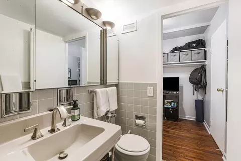 Bath - 253 E Delaware Pl #13D, Chicago, IL 60611 photo 3 of 3