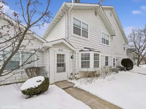 441 N Cambridge Dr, Palatine, IL 60067