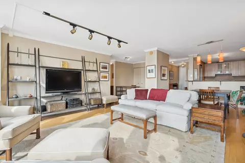 200 E Delaware Pl #34E, Chicago, IL 60611 photo 6