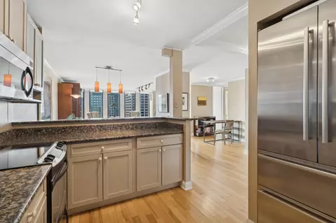 200 E Delaware Pl #34E, Chicago, IL 60611 photo 10