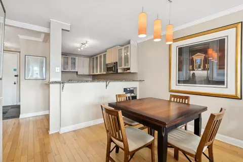 200 E Delaware Pl #34E, Chicago, IL 60611 photo 12