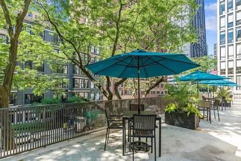 200 E Delaware Pl #34E, Chicago, IL 60611 photo 20