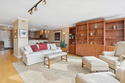 200 E Delaware Pl #34E, Chicago, IL 60611 photo 4