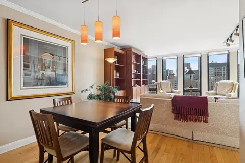 200 E Delaware Pl #34E, Chicago, IL 60611 photo 11