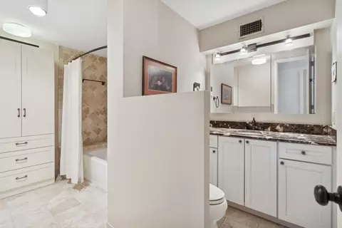 200 E Delaware Pl #34E, Chicago, IL 60611 photo 14