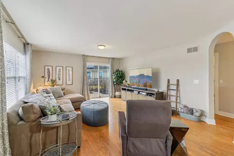 Living - 12608 Shenandoah Trl, Plainfield, IL 60585 photo 3 of 4