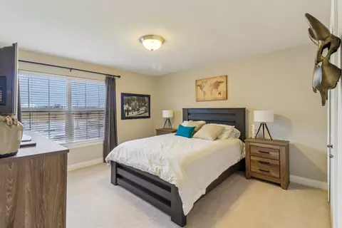 Bedroom - 12608 Shenandoah Trl, Plainfield, IL 60585 photo 6 of 8