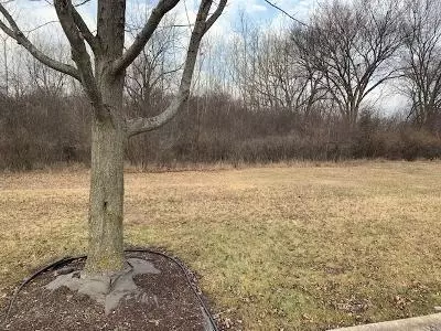 111 Stephen Ln, Joliet, IL 60431