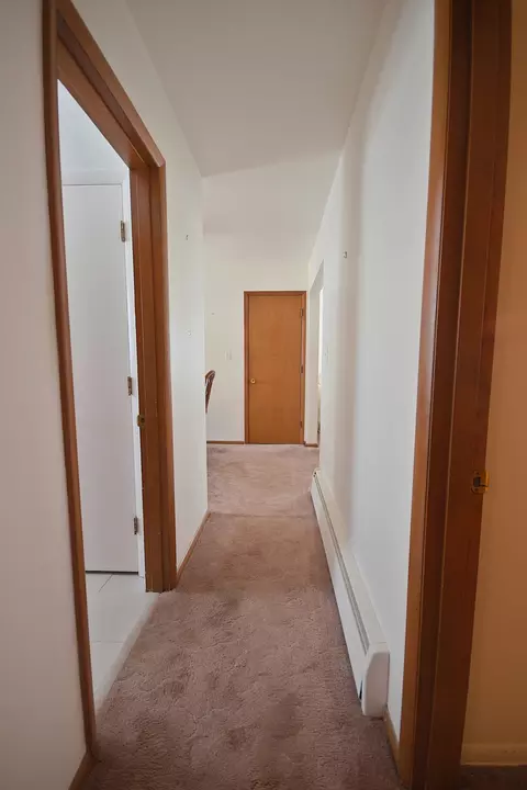 18202 Locust St, Lansing, IL 60438 photo 19