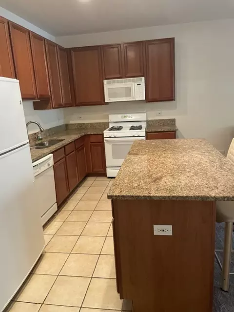 Kitchen - 1422 S Halsted St #1A, Chicago, IL 60607 photo 4 of 5