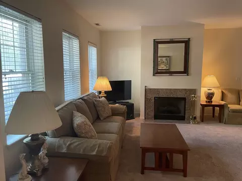 Living - 1422 S Halsted St #1A, Chicago, IL 60607 photo 3 of 6