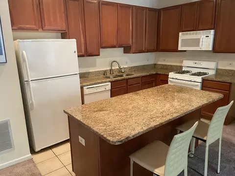Kitchen - 1422 S Halsted St #1A, Chicago, IL 60607 photo 5 of 5