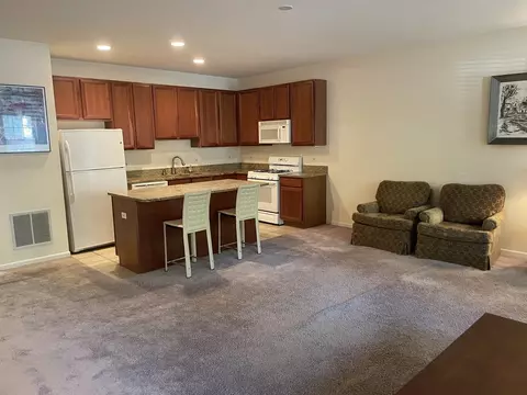 Living - 1422 S Halsted St #1A, Chicago, IL 60607 photo 5 of 6