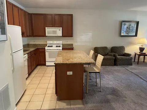 Kitchen - 1422 S Halsted St #1A, Chicago, IL 60607 photo 3 of 5