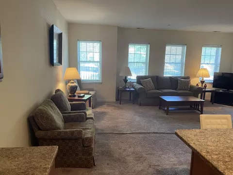 Living - 1422 S Halsted St #1A, Chicago, IL 60607 photo 1 of 6