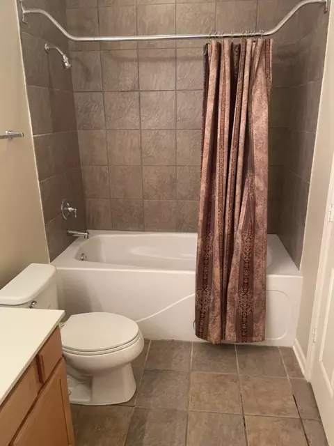 Bath - 1422 S Halsted St #1A, Chicago, IL 60607 photo 2 of 4