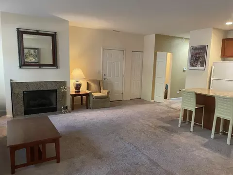 Living - 1422 S Halsted St #1A, Chicago, IL 60607 photo 4 of 6