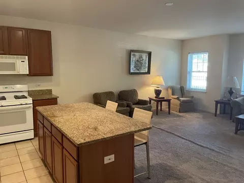 Kitchen - 1422 S Halsted St #1A, Chicago, IL 60607 photo 1 of 5