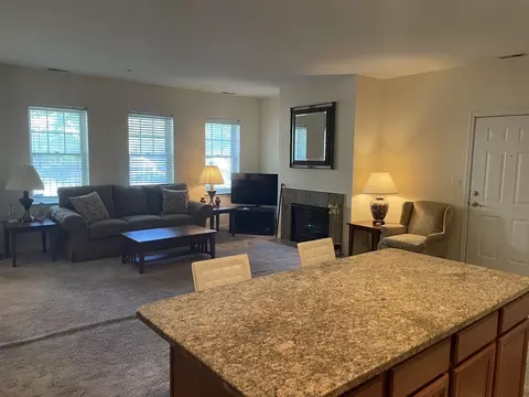 Living - 1422 S Halsted St #1A, Chicago, IL 60607 photo 2 of 6