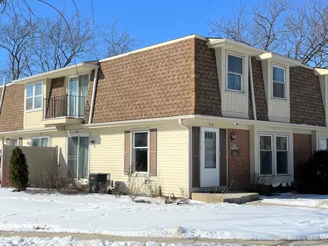 618 Newton Ct #618, Schaumburg, IL 60194