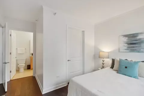 Other - 420 E Waterside Dr #508, Chicago, IL 60601 photo 5 of 10
