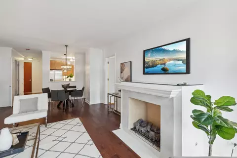 Living - 420 E Waterside Dr #508, Chicago, IL 60601 photo 3 of 3