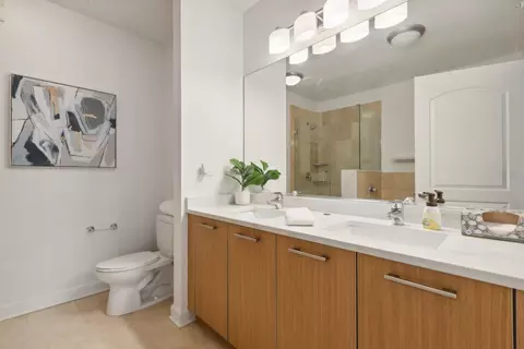 Bath - 420 E Waterside Dr #508, Chicago, IL 60601 photo 1 of 4