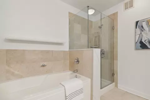 Bath - 420 E Waterside Dr #508, Chicago, IL 60601 photo 3 of 4