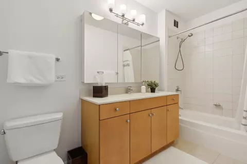 Bath - 420 E Waterside Dr #508, Chicago, IL 60601 photo 4 of 4