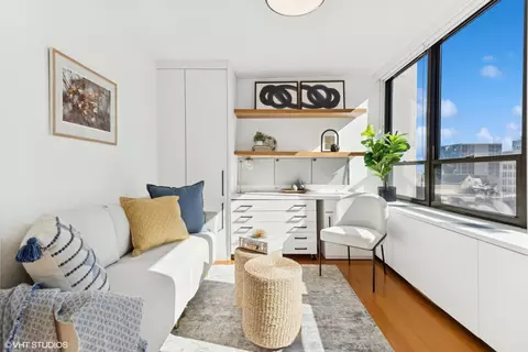 222 E Pearson St #1004, Chicago, IL 60611 photo 13