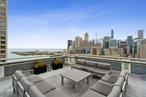 222 E Pearson St #1004, Chicago, IL 60611 photo 23