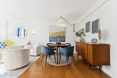 222 E Pearson St #1004, Chicago, IL 60611 photo 6