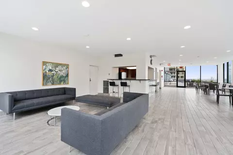 222 E Pearson St #1004, Chicago, IL 60611 photo 22