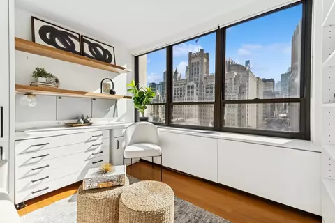 222 E Pearson St #1004, Chicago, IL 60611 photo 14