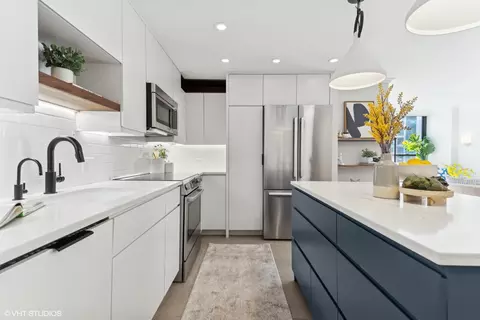 222 E Pearson St #1004, Chicago, IL 60611 photo 11