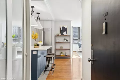 222 E Pearson St #1004, Chicago, IL 60611 photo 2