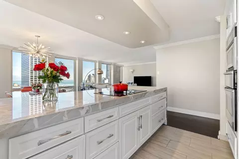 111 E Chestnut St #51A, Chicago, IL 60611 photo 20