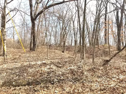 lot1750 Sunflower Ct, Varna, IL 61375