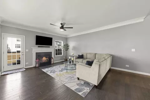 Living - 12920 Blue Spruce Dr, Plainfield, IL 60585 photo 1 of 1