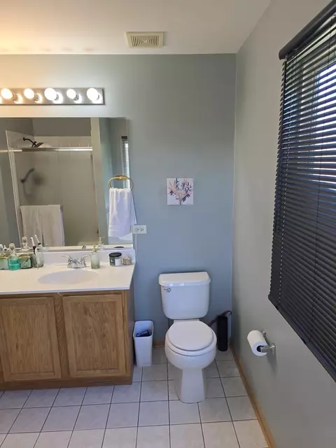 Bath - 25039 Grant Ct, Plainfield, IL 60544 photo 2 of 3