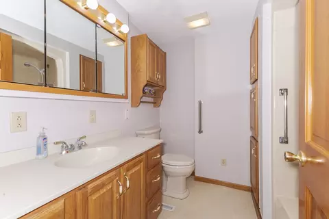 8164 Pine Ave, Downs, IL 61736 photo 28
