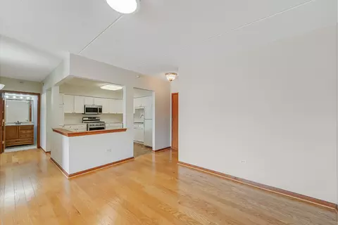 Living - 650 S River Rd #708, Des Plaines, IL 60016 photo 3 of 3