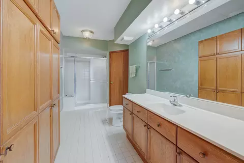 Bath - 650 S River Rd #708, Des Plaines, IL 60016 photo 1 of 2