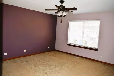 454 Summersweet Ln, Bartlett, IL 60103 photo 23