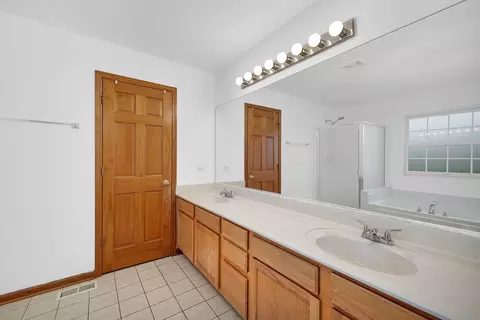 Bath - 305 Switchgrass Dr, Minooka, IL 60447 photo 1 of 4